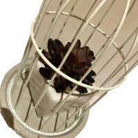 Metal Bird Cage, Natural Concrete Candle-Plant Holder Featuring Bird