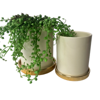 Cream Glazed Ceramic Planter Pots with Gold Saucer Set of Two