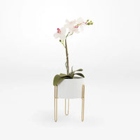 Modern White Planter Pot Round Resting On Gold Stand - Set of Two
