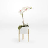 Modern White Planter Pot Round Resting On Gold Stand - Set of Two
