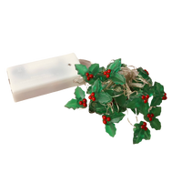Christmas Holly or Santa Fairy LED Warm White Lights, Indoors - 2.9M